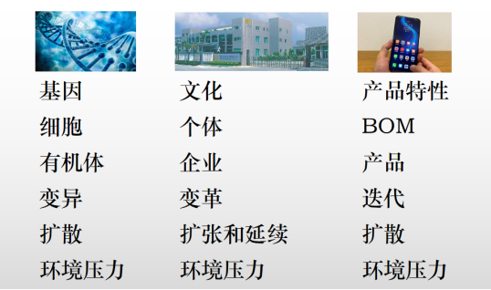 1617355869119612.png image.png