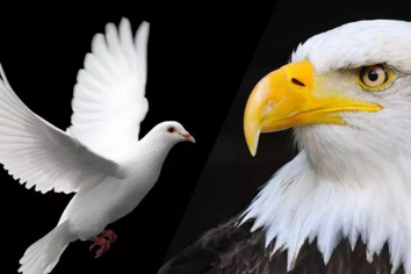 1617355890195014.png image.png